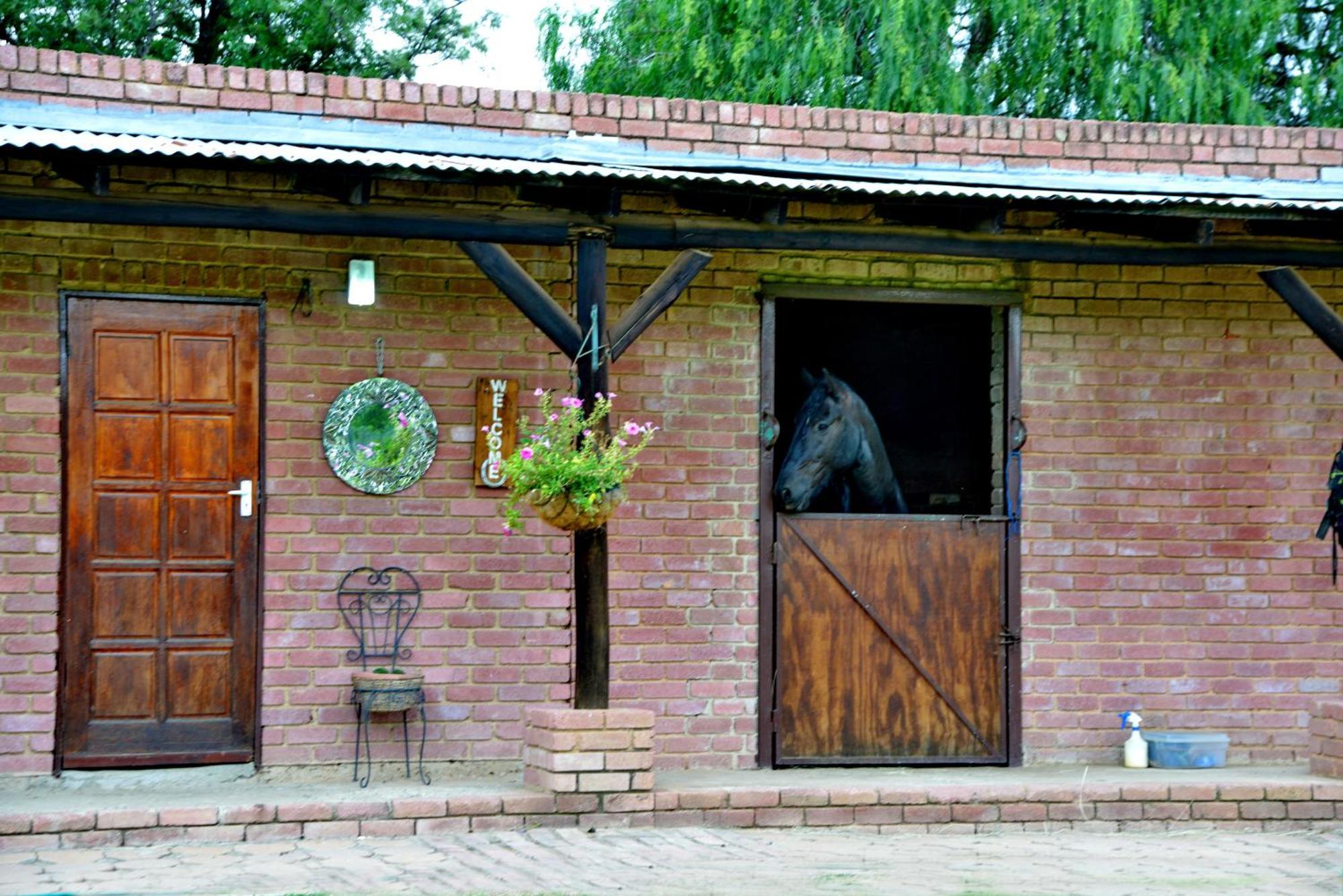 Owls Loft Guest House Midrand Exterior photo