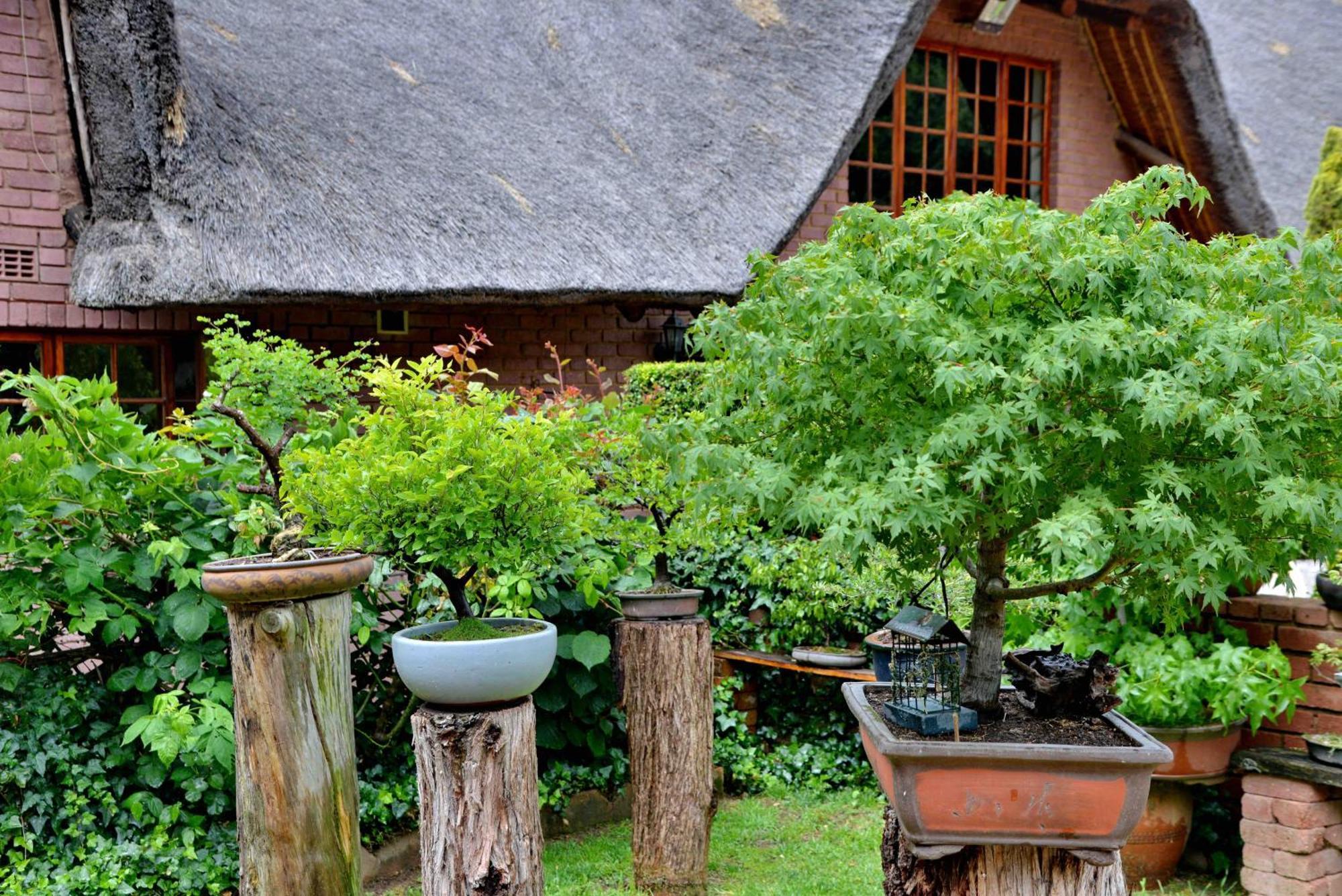 Owls Loft Guest House Midrand Exterior photo